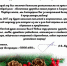 Ректор и коллектив МГТУ продолжают принимать поздравления с Новым годом - МГТУ