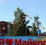 Собери Майкоп по кусочкам (ТЕСТ) - Go01.ru