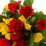 b_300_200_16777215_00_images_istnpra_rozy_buket_krasnyy_zheltyy_85632_3840x2400.jpg - Нотариальная палата