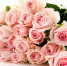 b_300_200_16777215_00_images_istnpra_pink-roses-hd-wallpapers13.jpg - Нотариальная палата