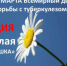 В Майкопе пройдет акция «Белая ромашка» - Министерство здравоохранения