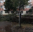 Фото пресс-служба администрации Майкопа - Советская Адыгея
