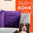 В главных ролях – ваши домашние любимцы: конкурс от «Ростелекома» - ИА Адыгея Сегодня