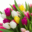 Поздравление с днем рождения! - Нотариальная палата