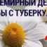 22 марта на площади им. В.И. Ленина г. Майкопа с 10 до 14 часов будет проводиться акция «Белая ромашка», посвященная Всемирному дню борьбы c туберкулезом - Министерство здравоохранения