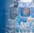 РФПИ объявил о безопасности «коктейля» из AstraZeneca и «Спутника Лайт» - Газета Маяк