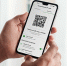 «Плати QR» от Сбера становится популярнее на Кубани - ИА Адыгея Сегодня