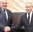 Президенты Путин и Лукашенко обсудили поставки удобрений на мировой рынок - ИА Адыгея Сегодня
