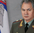 Министр обороны Шойгу доложил президенту Путину об освобождении ЛНР - ИА Адыгея Сегодня