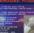 ROZYSK2.jpg - МВД Республики Адыгея