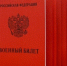 В Минобороны рассказали, кого будут призывать в рамках частичной мобилизации - ИА Адыгея Сегодня