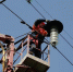 В Майкопском районе ряд СНТ может временно остаться без электричества - ИА Адыгея Сегодня