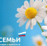 Мэр Майкопа поздравил горожан с Днём семьи, любви и верности - Газета Майкопские новости