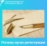 Почему орган регистрации может вернуть документы без рассмотрения? - МФЦ