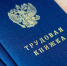 В Майкопе продолжают реализовывать меры по борьбе с неформальной занятостью - Газета Майкопские новости