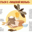 Рекомендации гражданам: Как защитить свой дом от «пищевой моли» - Роспотребнадзор