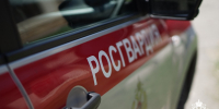 Безопасность мероприятий, посвященных Дню Воздушно-десантных войск в Адыгее обеспечила Росгвардия - Росгвардия