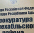 В Адыгее прокуратура проверит информацию о жестком обращении с собакой - ИА Адыгея Сегодня