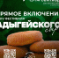 Прямой эфир XIV Фестиваля адыгейского сыра - ИА Республика