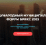 Международный Муниципальный Форум БРИКС 2025: развитие делового сотрудничества - Минэкономразвития