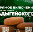 «Ростелеком» обеспечит онлайн-трансляцию XIV Фестиваля адыгейского сыра  - NatPress