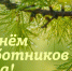 День работников леса и лесоперерабатывающей промышленности - Государственный Совет-Хасэ РА