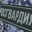 В Адыгее Росгвардия обеспечила правопорядок в День Республики - Росгвардия