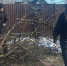 В Гиагинском районе проходит субботник по уборке улиц от веток - ИА Адыгея Сегодня