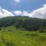 Филиал ФБУ «Рослесозащита» - «ЦЗЛ Республики Адыгея» подводит итоги прошедшего года. - Рослесозащита Республики Адыгея