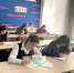 Региональный конкурс "Мой язык – мой мир" объединил школьников Адыгеи - NatPress