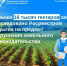 Свыше 16 тысяч гектаров земли обследовано Росреестром Адыгеи на предмет нарушения земельного законодательства - МФЦ