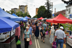 Фото: Феликс СУЗДАЛЕВ