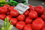 Фото: Феликс СУЗДАЛЕВ